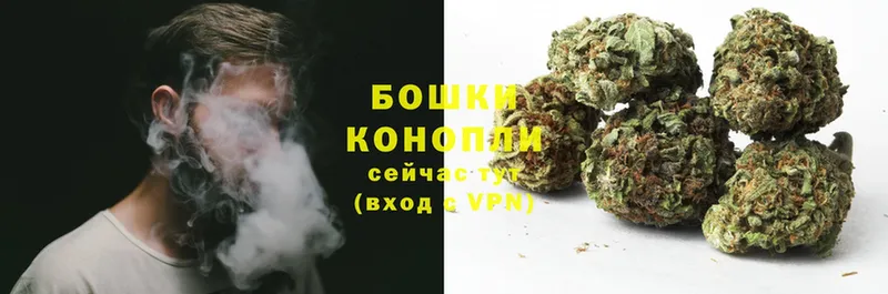 купить наркоту  Саки  Бошки марихуана OG Kush 